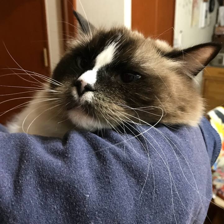 585d9ed6 4ec3 448c bffd 91bfb8424b49 1512484594772