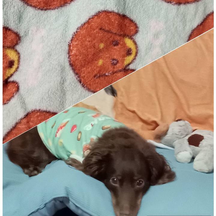 585db684 7e1a 4c75 9641 3a7bff07eb5d 1757454650709