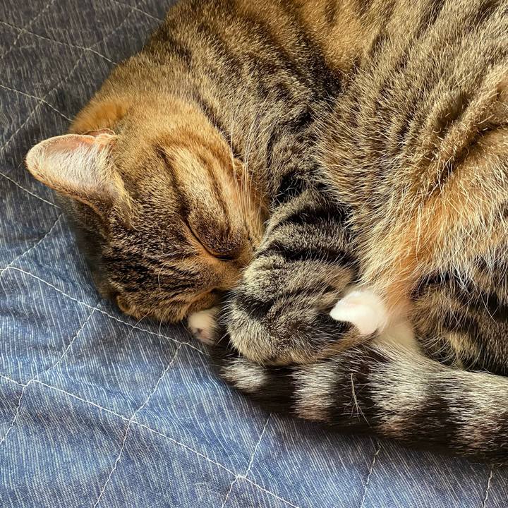 585de4e9 b7cc 4435 8b17 c73afae9554c 1651811377457