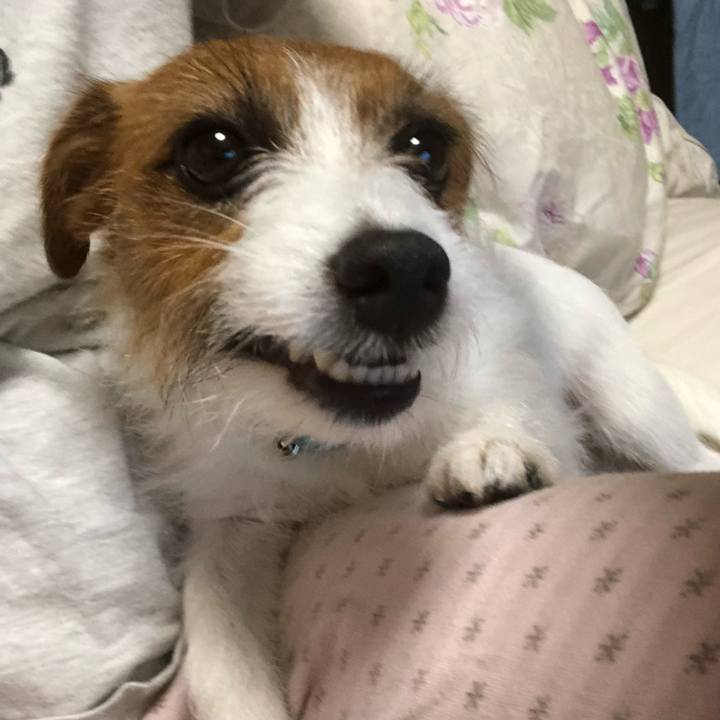 585dea0f 4dab 4236 b2db e318d9513126 1541680357761