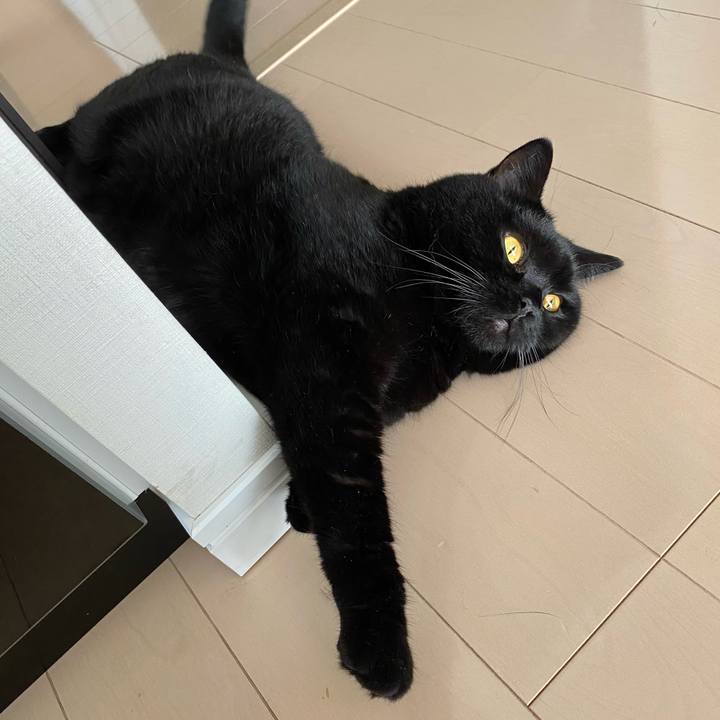 585df6be 882d 415c 9438 00c888902cd8 1631420549509