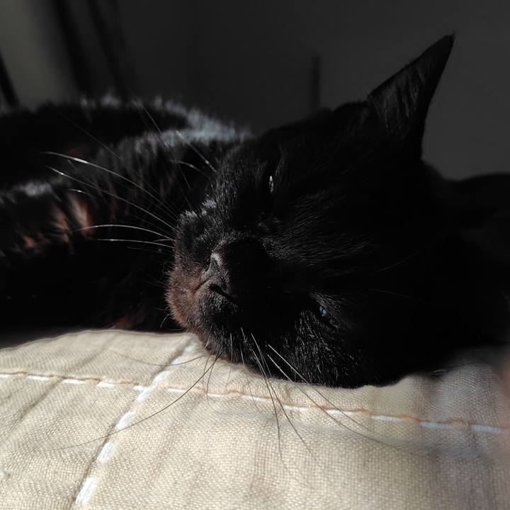 585e0ee1 8315 447d acb0 344d455a63f6 1760664671063