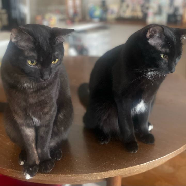 585e21a8 53d8 45f5 a74c cda0ab2af616 1770688403093