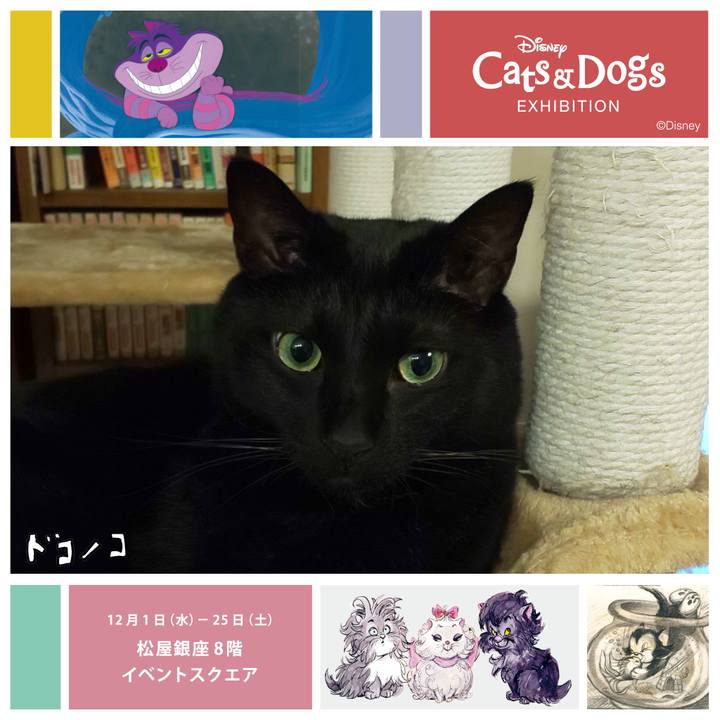 585e34d6 9d34 4fe5 b946 e9deae2aeee9 1638355989343