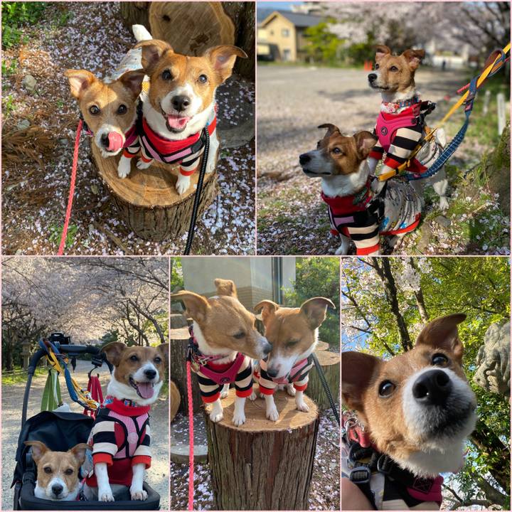 585e6325 e314 4a01 a6c1 e0847a6fc6fb 1586087996516