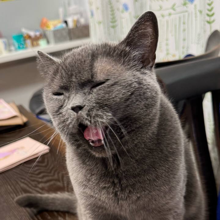 585e6413 e29b 44c0 988a a621bb5195f8 1766229111182