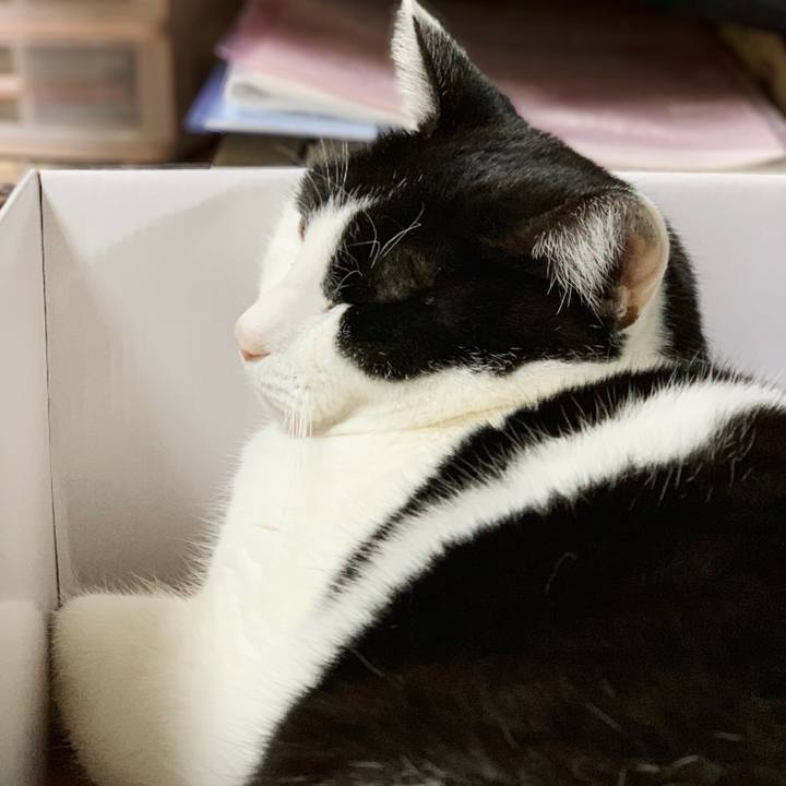 585e6f44 8e19 4323 830f aa1313a3ed4a 1548901595668