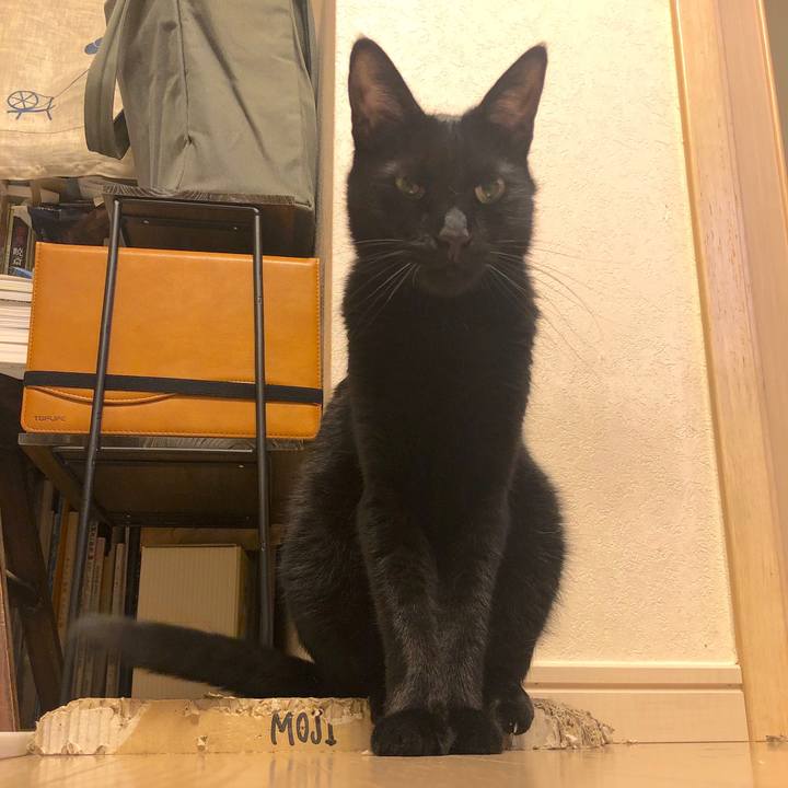 585e9f8c 908b 4e9d a75e 3af26022a0ff 1570967768178