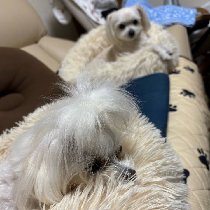 585ec75d 5c6d 4016 acac 0f0b3e8a4c3a 1747472288312