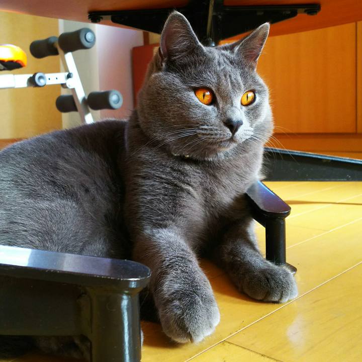 585ece7c cccf 4100 8dee 8a4d6d202db5 1511500422025