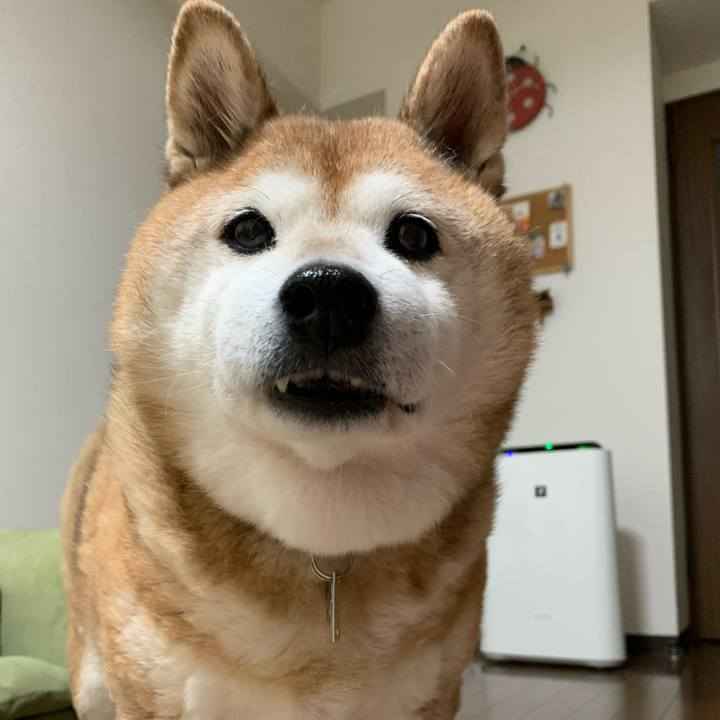 585ee045 9dd4 4b0b 9098 6dd9fb6a0e43 1578049673652