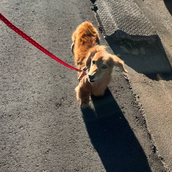 585ef79a 6ffd 44ba b6f2 c100dd95ea72 1638013791146