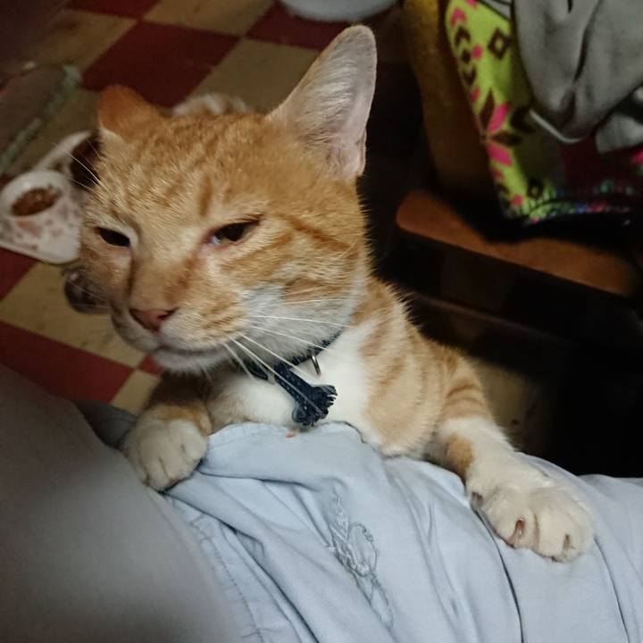 585ef87c 0550 4897 806f 25ddf205752d 1567426096980