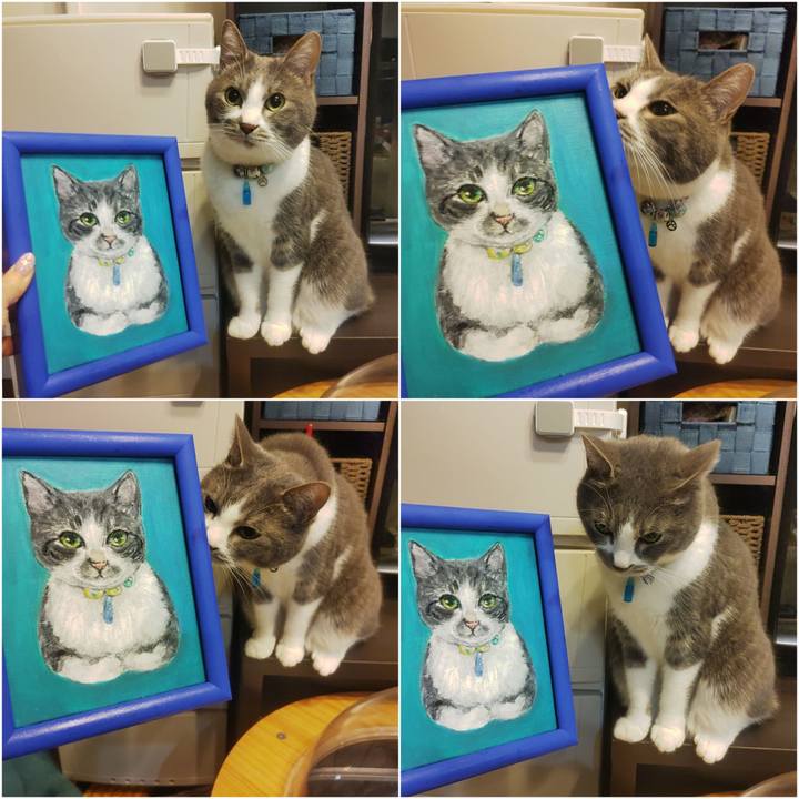 585effb0 498a 43c5 86d1 94e6335ed1bc 1679226704207