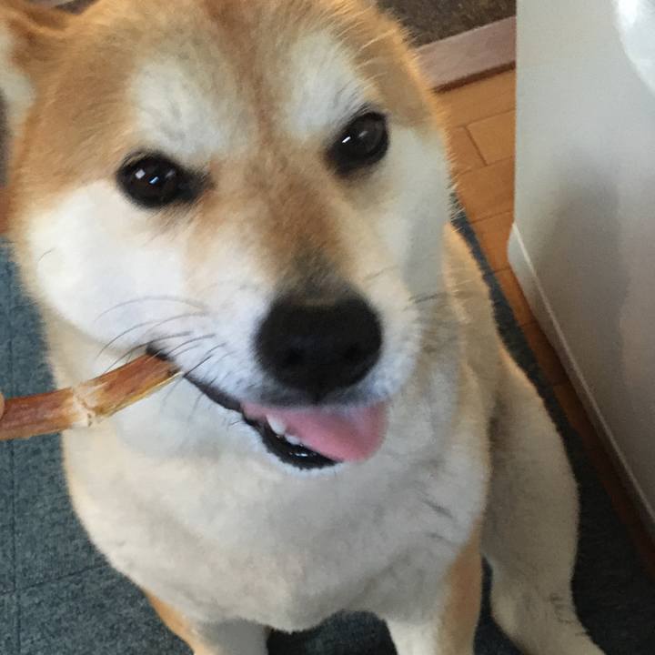 585f0171 beb1 4559 afd5 6c58e366361a 1581402109017