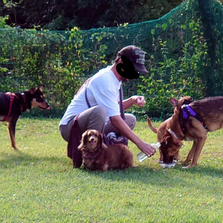 585f0358 81d4 4dc0 be76 02e0bb82ff4d 1697249085877