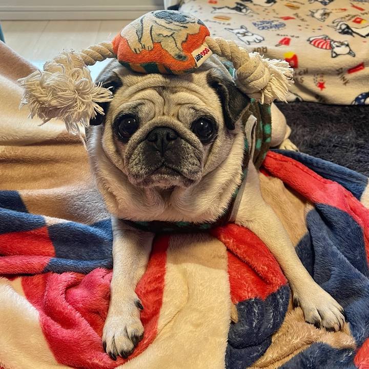 585f0870 7074 43ba 8715 eff01f491fda 1771051823424