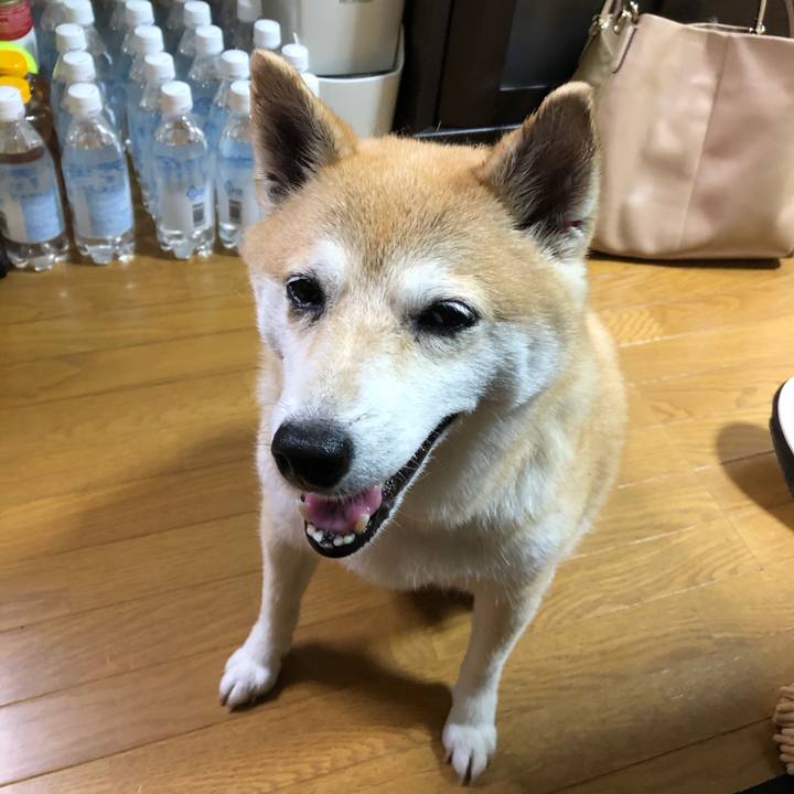 585f1ad0 8d6e 4b5f 9e6f f62b948e0c16 1597325672362