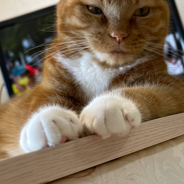 585f3721 d04c 4cda 9861 da95c08ed91a 1628383069712