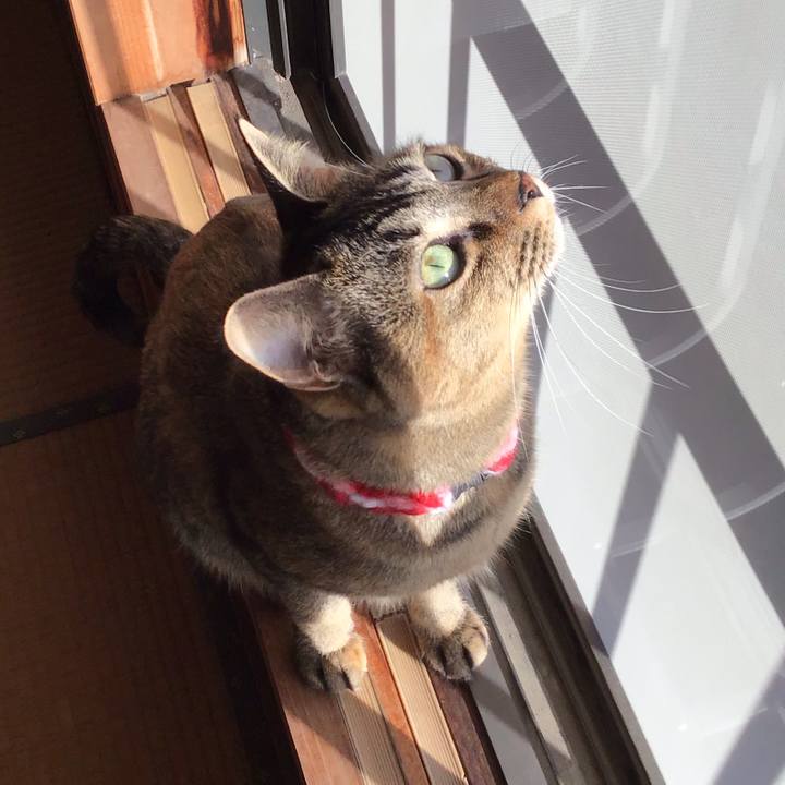 585f58a6 306c 4a49 865a d473ccfacbf2 1608337099262