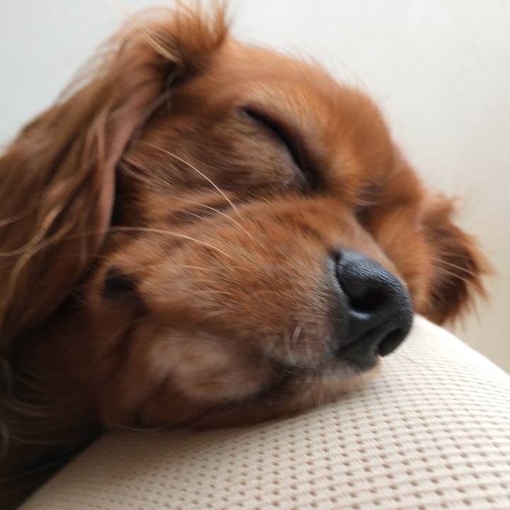 585f81db ec89 4072 bba5 78fa978eca2d 1510665248578