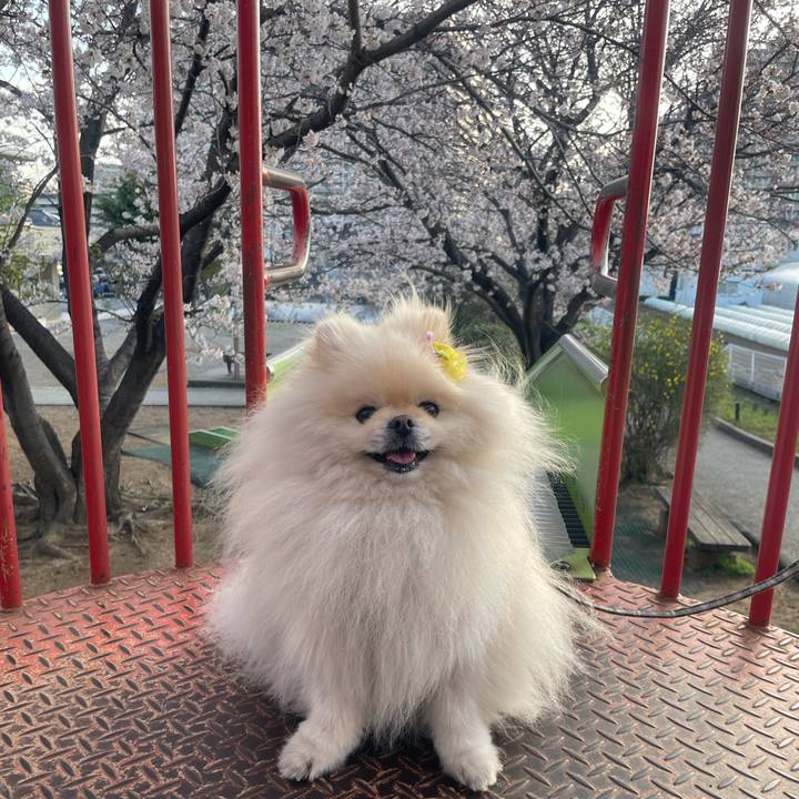 585fad43 f42d 4760 b040 a5370233f319 1743899782858