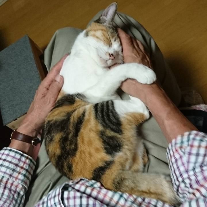 585ff443 2052 4ca9 b706 65c9146e54ef 1600602925302