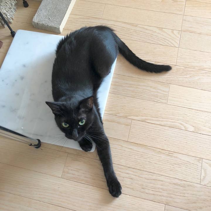 585ff678 03d0 4a6f 9612 37e38bae0b31 1597495653745