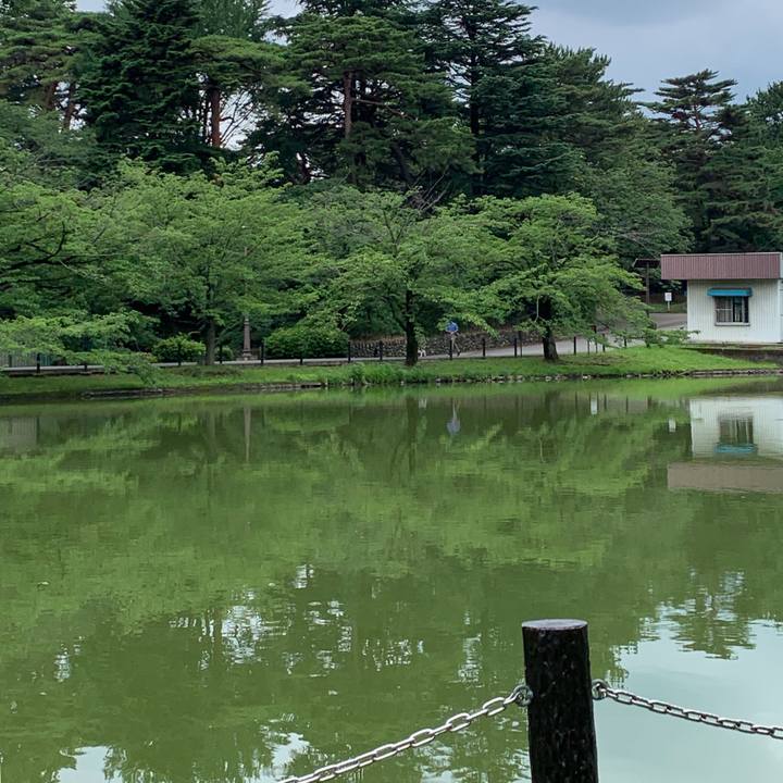 58607164 6b02 4378 a2ce 6c9d68eae691 1562404874355