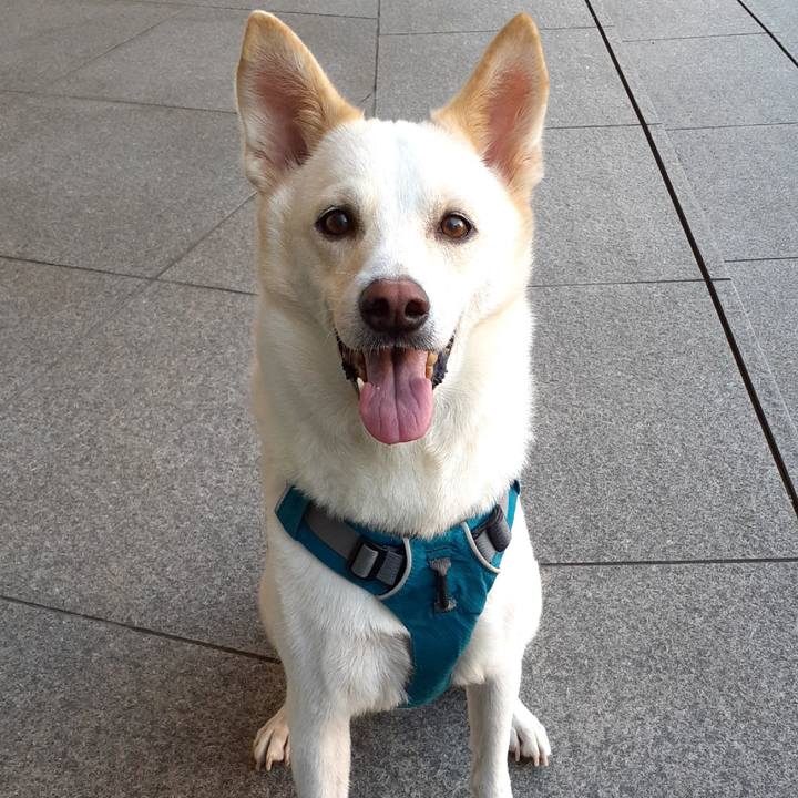 586082d4 00e9 4932 bba6 a6e3b456f0fc 1633221001430