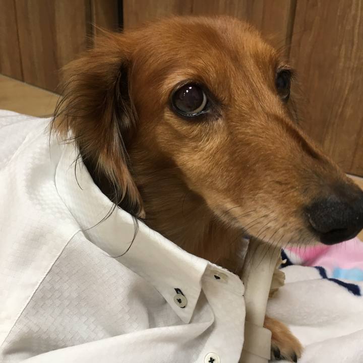 5860b6d9 32a7 4d1a bade 9e3c4422c8a2 1569679274477