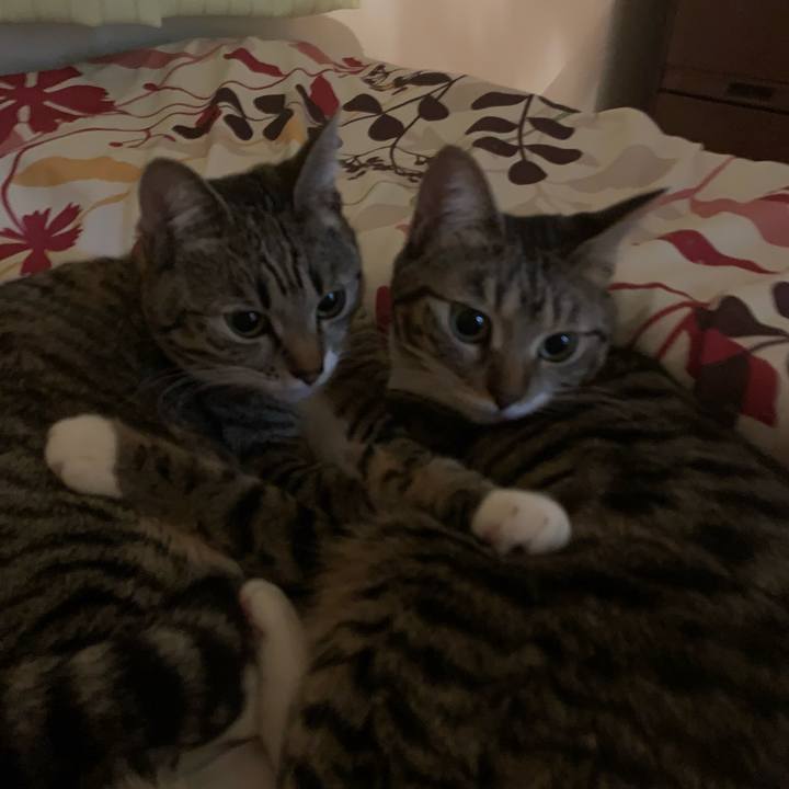 5860cc3e 67a9 4d09 aa96 dde65d4b9295 1547597477788