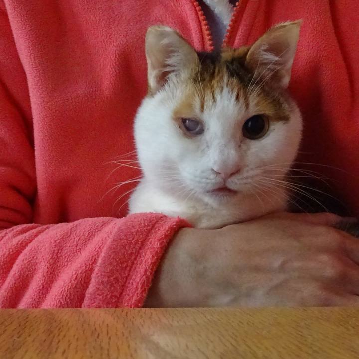 5860e430 4aad 4b40 ac89 02503579f4fd 1615861302061