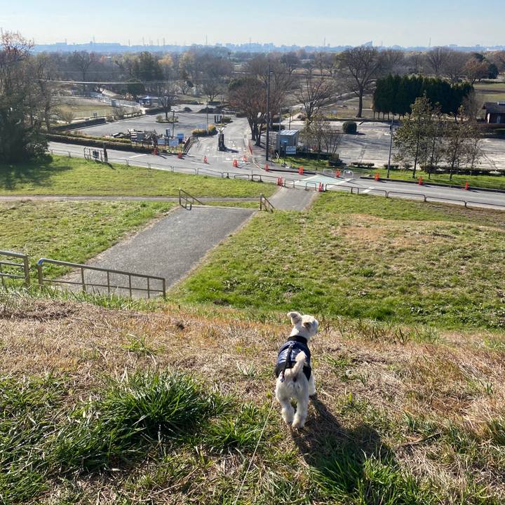 58610de0 b03a 486b bceb 21f5dbed7282 1576479372268