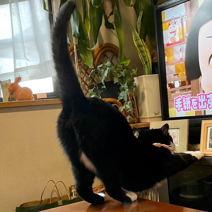 58612ed6 9131 4911 93f3 1c0a7c952f67 1667605660938