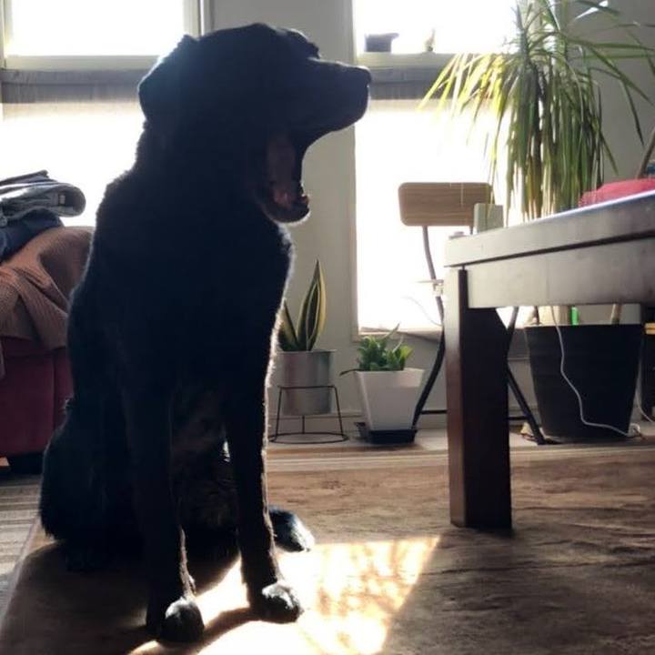 586132e5 e463 4542 b923 5a078256c5a2 1691806210649