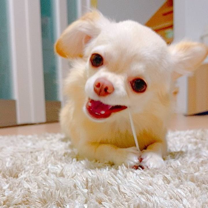 58613d47 fab6 49d5 92b4 140163930088 1633783616531