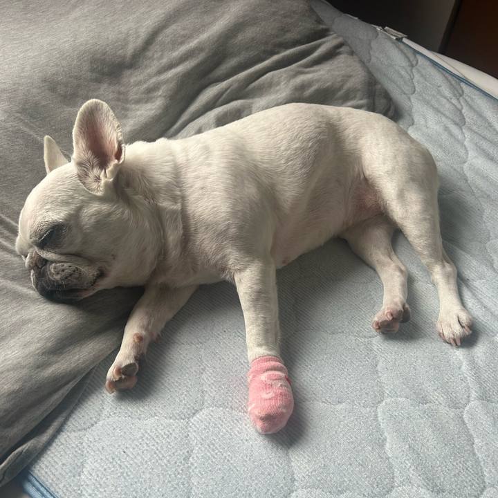 5861785d 7193 40a0 a953 68910d96c5b3 1747003894657