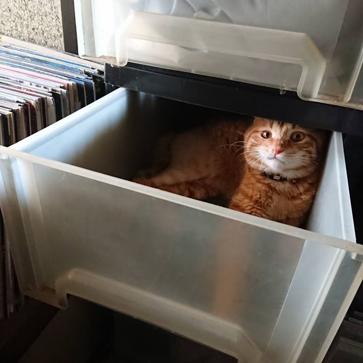 58619ca1 8d3e 4d32 9dc6 47464708fdaa 1655623588807