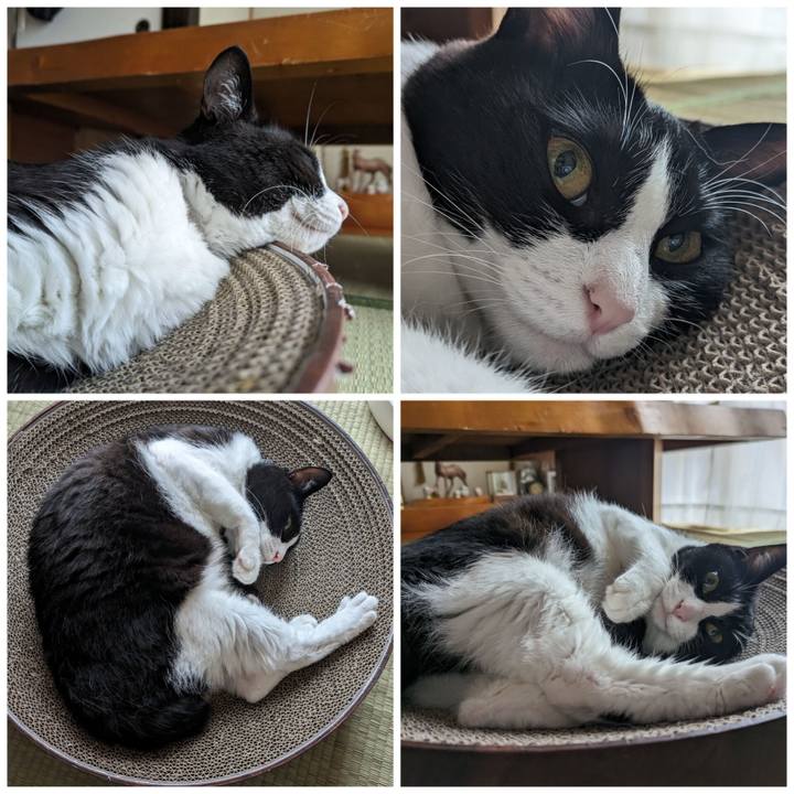 58619e94 9903 4a64 bf5b e3b3d64da4c7 1688186138236