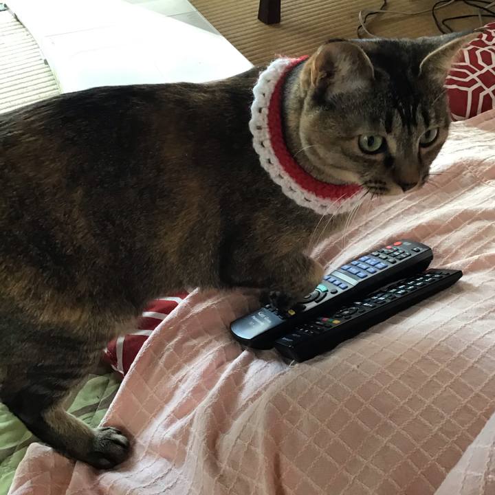 5861dcd3 a797 4cc6 ad4a 95b8407c5a40 1610155929756