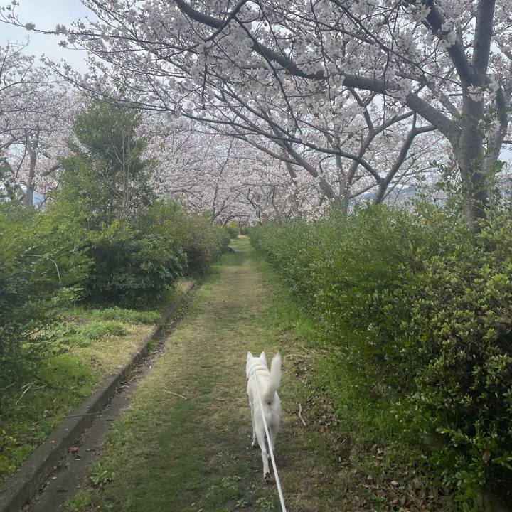 5861dcdf 3da9 45e8 b60f 22a54c103d28 1712017280067