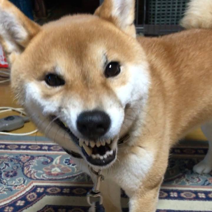 5861e2bd 2e8d 4381 9cc9 71a369bd82d2 1519388392083