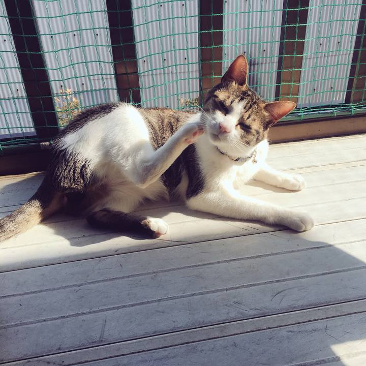 5861f082 3eef 43e3 bd89 1a0c0b62cd1f 1521026133292