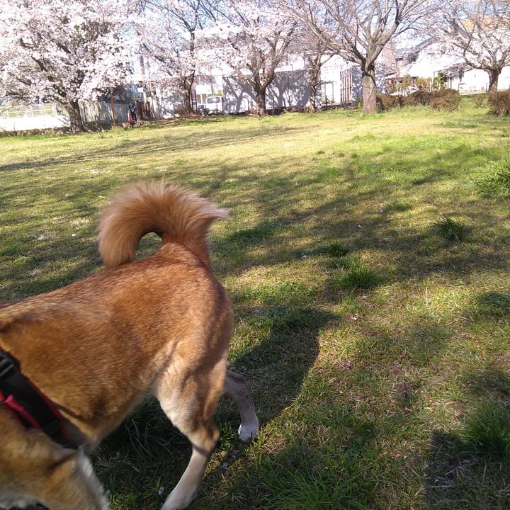 5861f9a6 acc3 4f15 8437 88c7e8dbc845 1554340210855