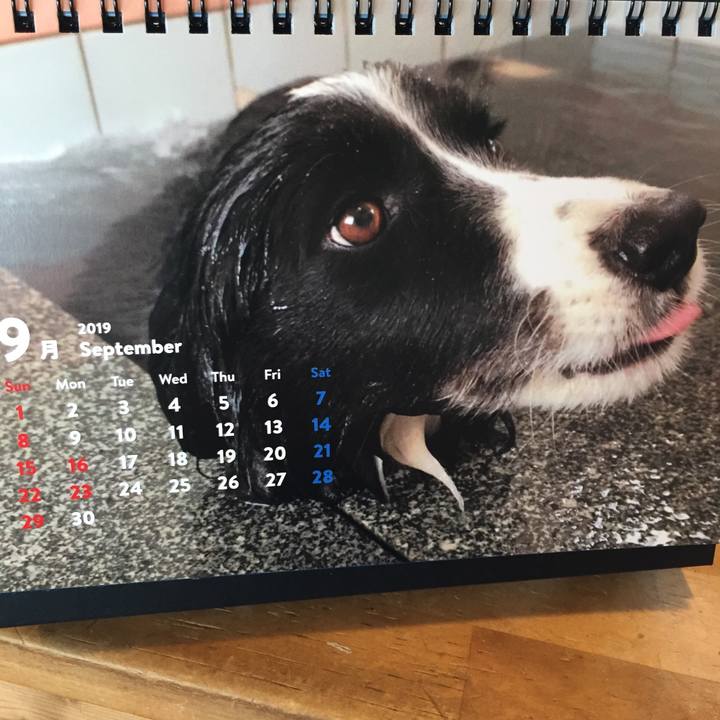 5862030f 717c 42ed 82b4 372a6285f2bc 1567315588128