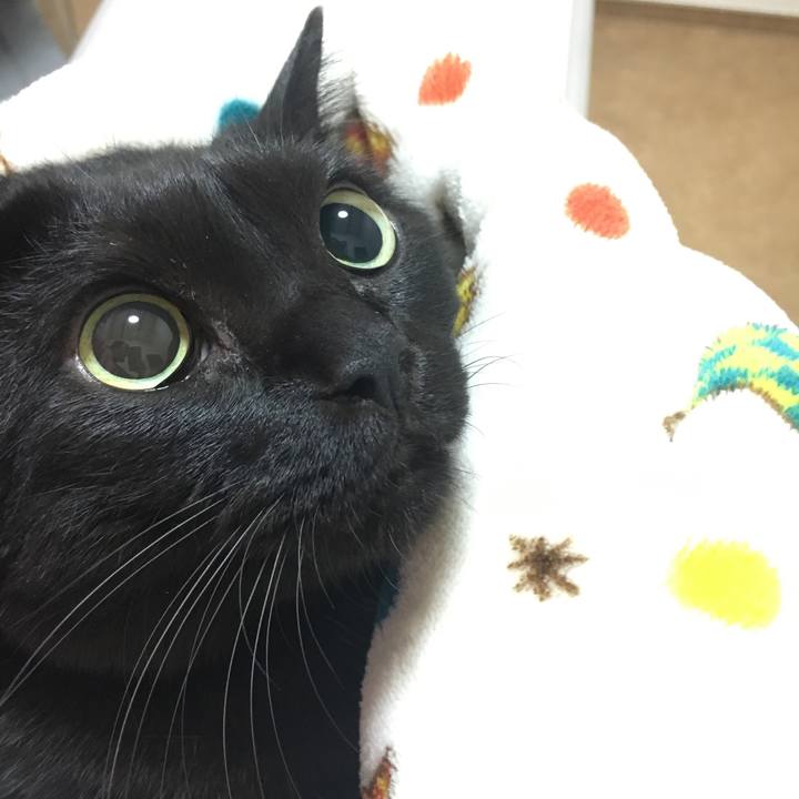 5862290f ba3d 4319 bbdd 10b8b162af1a 1507875571477