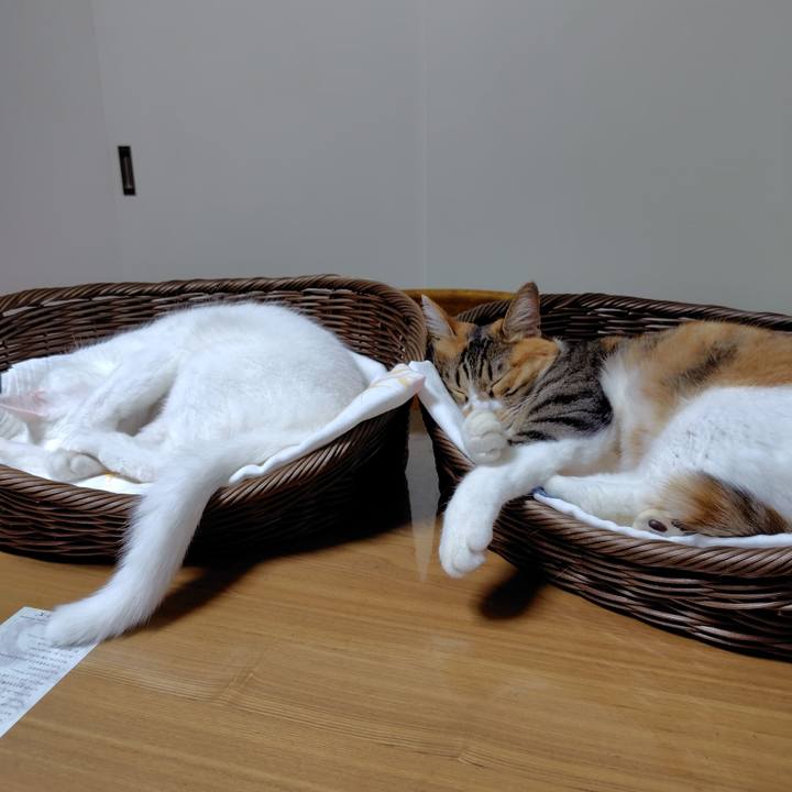 58623154 ee56 47c4 9ea2 886e6f1ecff0 1761525497865