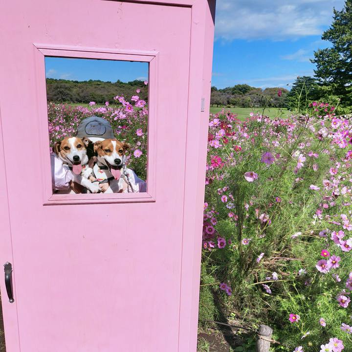 58623756 7e29 4d95 bbd2 5f0060acc4c4 1761553832272