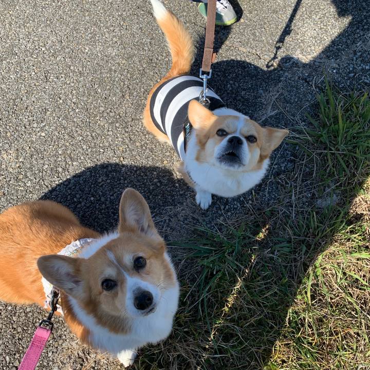 58624a15 2996 490b a07a 3a2669da97e3 1671162043674